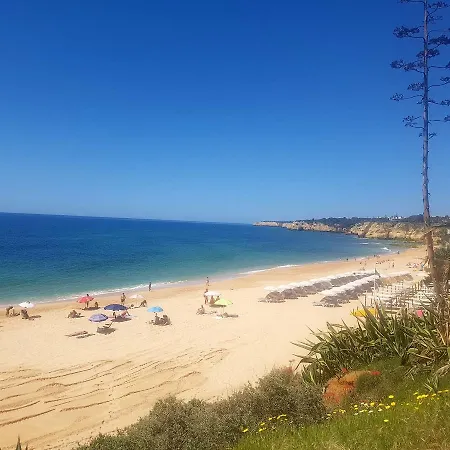 My Dream Armação de Pêra